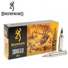 Brg Mun 300WSM 180GR. BXS