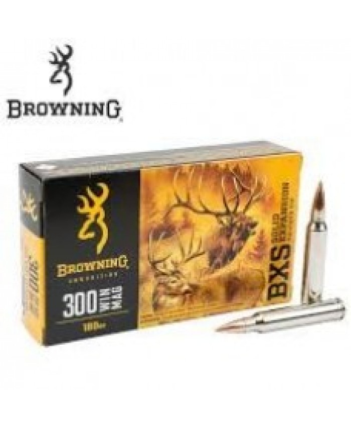 Brg Mun 300WSM 180GR. BXS